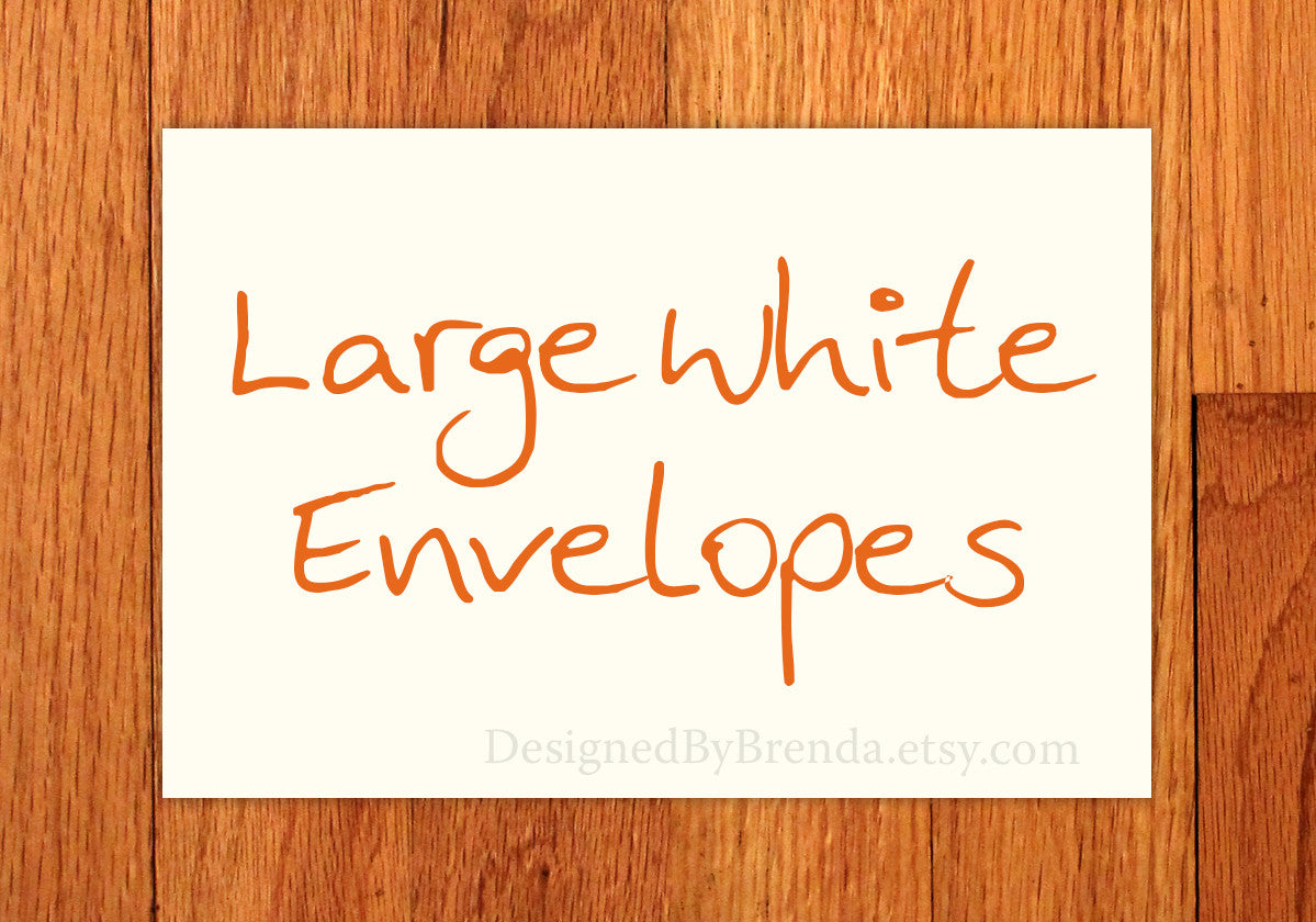 Large White Envelopes - 6 x 9 inches